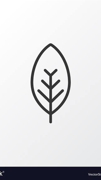 🪑The Leafing Room ห้องนั่งปลูก