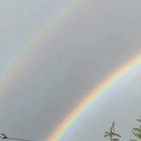 理科好きと理科嫌い集まれ！