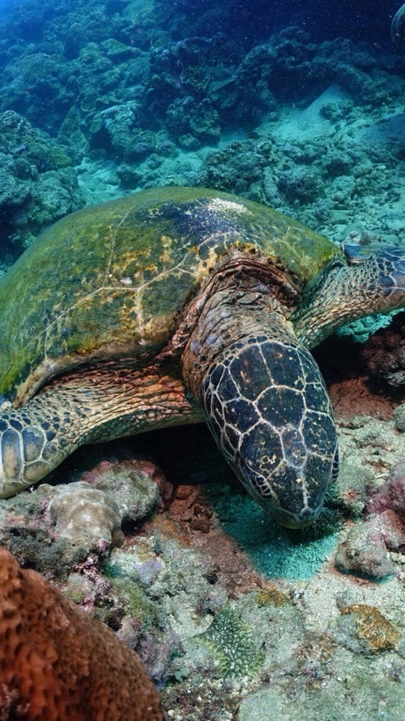 探索潛水-Explore Diving App交流討論群