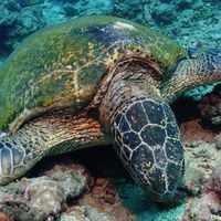 探索潛水-Explore Diving App交流討論群