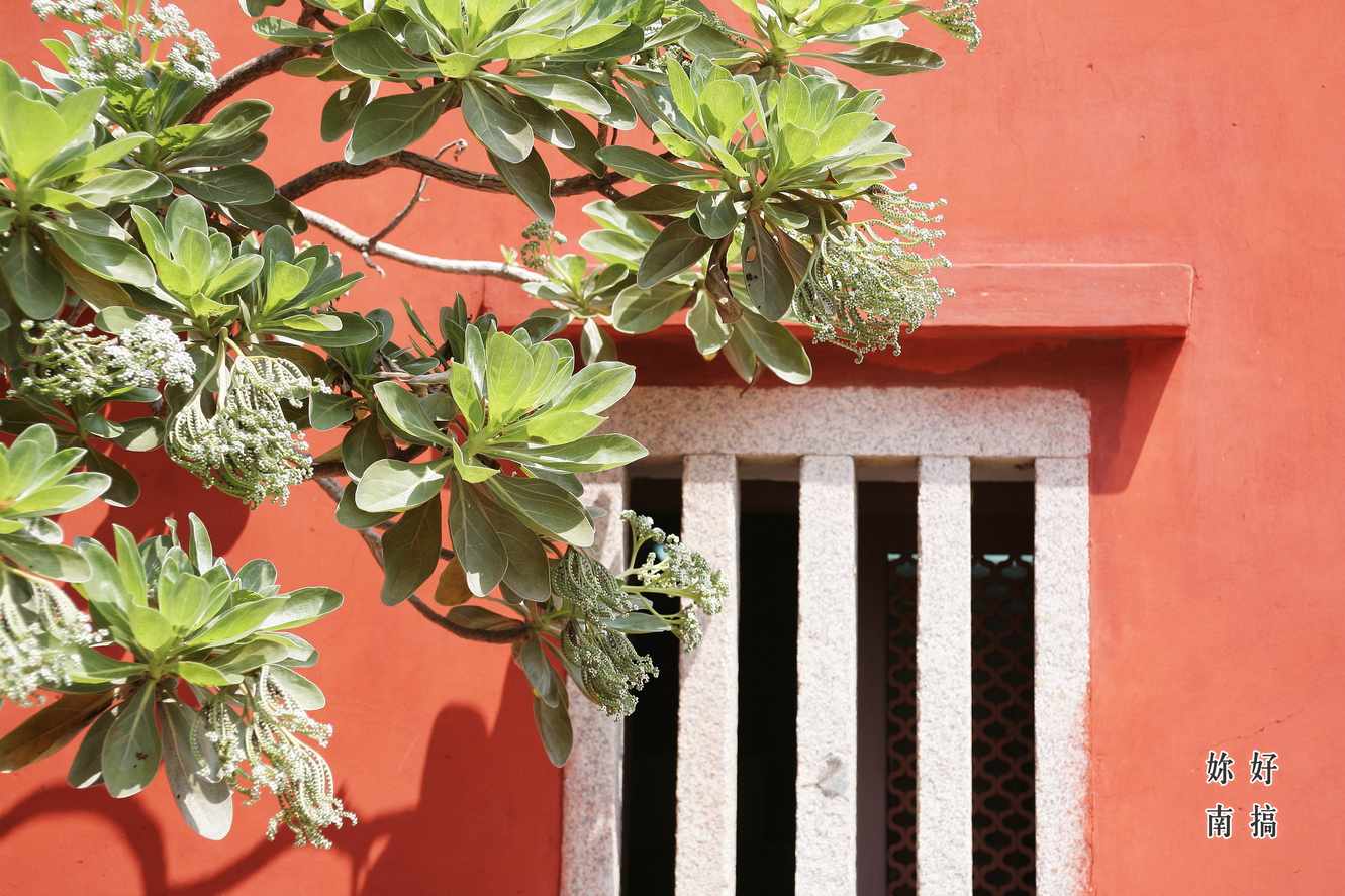 台南孔廟-03-妳好南搞