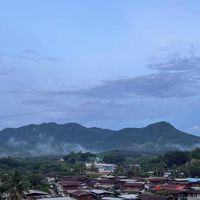 ประชาสัมพันธ์ข่าวสารบ้านนางิ้วหมู่ 1