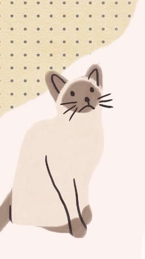 💟OYA舒咪💟家有敏感貓寶🐈‍⬛互助會