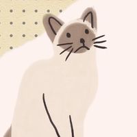 💟OYA舒咪💟家有敏感貓寶🐈‍⬛互助會