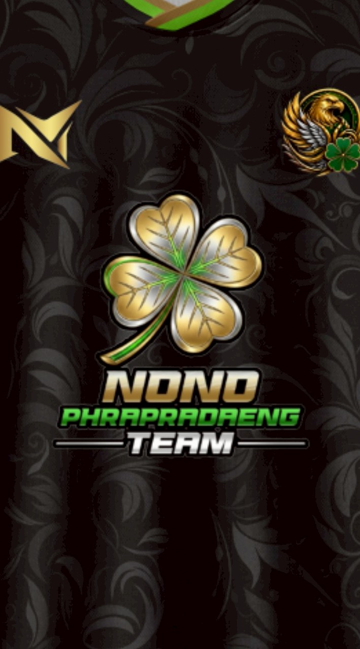 NN PP SPORT TEAM
