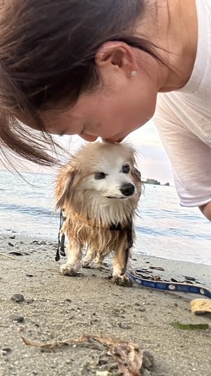 💖チワックスはにわ🐶🐾　⚠️発言禁止🈲