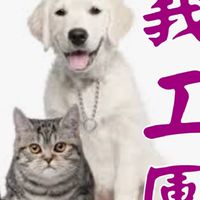 💪葉媽媽狗園志工團🐶