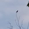 (有緣人限定.1by1)心裡想不開就進來吧