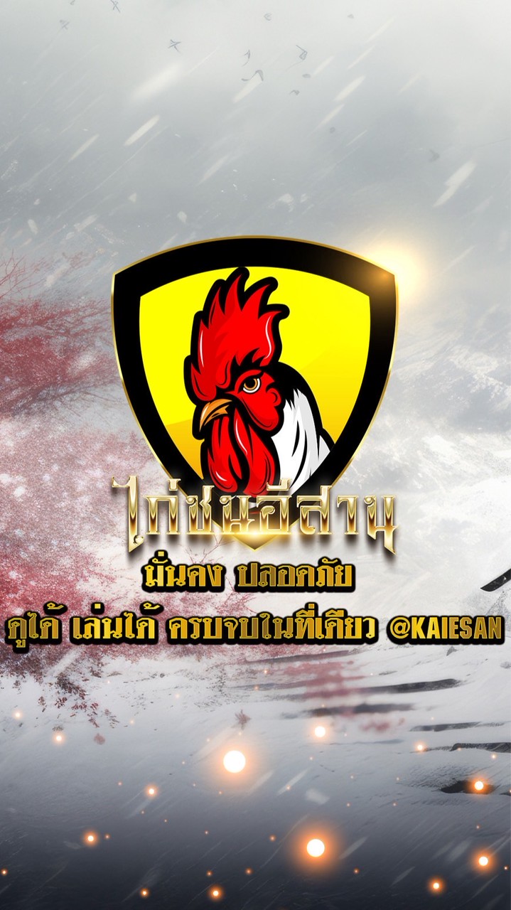 ไก่ชนอีสาน🐔 เล่น-ไก่ชน