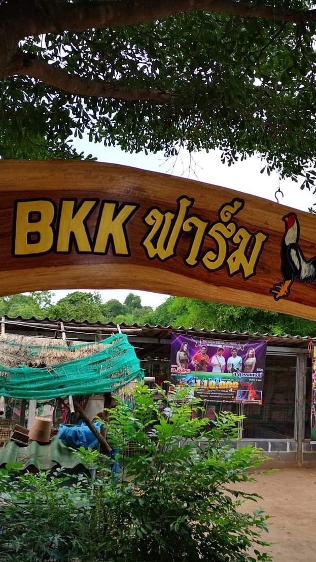 BKK farm