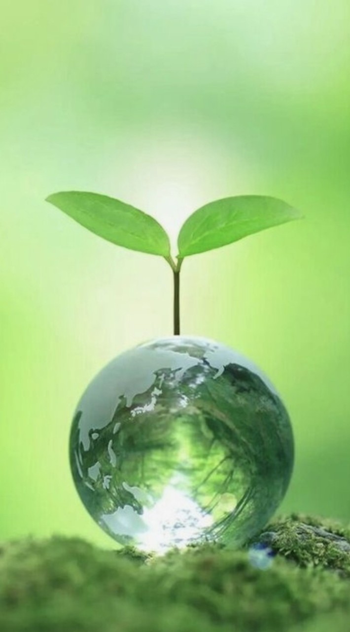 🧸50代一緒に楽しもう🍏雑談部屋🧸🌿