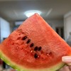 ピグパーティにどハマり！