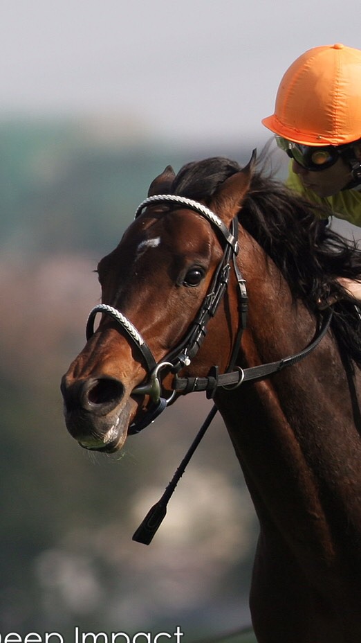 競馬 & 雑談チャットのオープンチャット