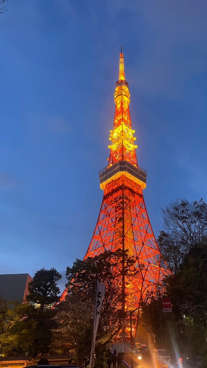 燦星1/16日本東京遊