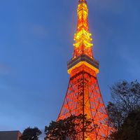 燦星1/16日本東京遊