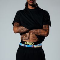 PSD 🔥