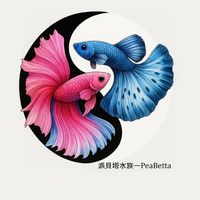 派貝塔—PeaBetta