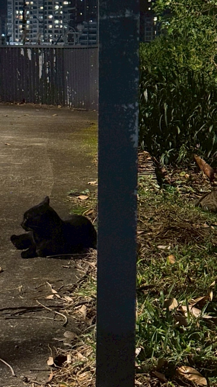 麻辣🌶️的小火鍋🍲