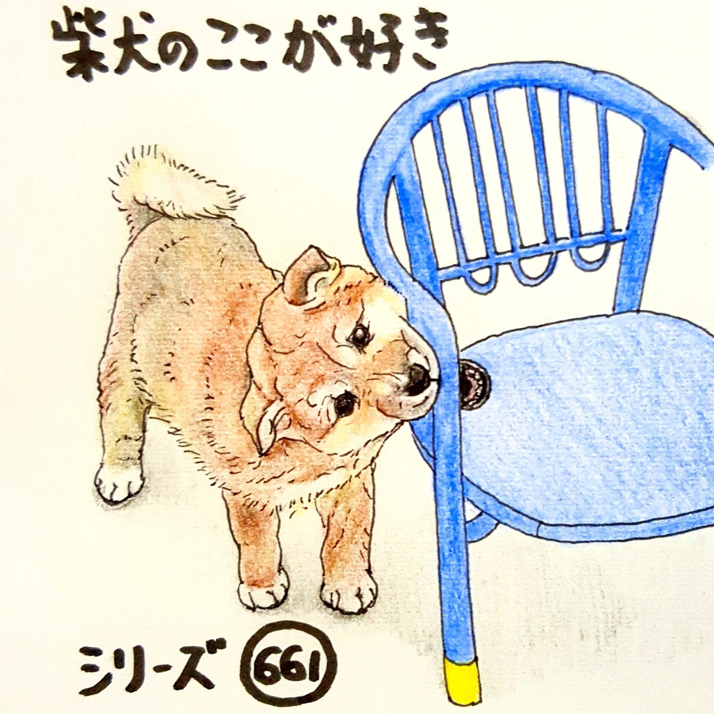 子犬のときは 何でも噛んで確認する