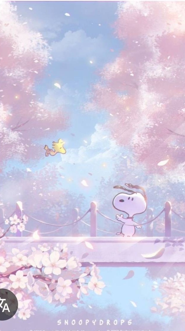 素材、福利、聊天群