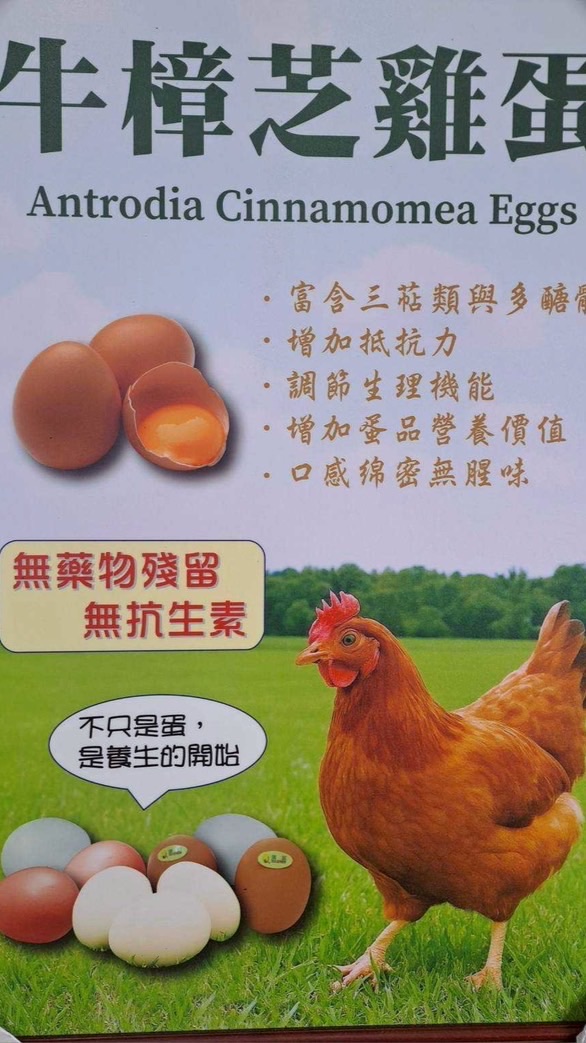 炬煌蛋專賣店