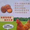 炬煌蛋專賣店