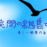 狭間の離島でー美しい熱帯の自然ー制作