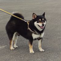 豪記海釣船
