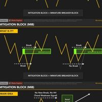 WISE RICH Traders.
