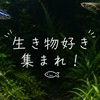 生き物好き集まれ！｜魚・爬虫類・両生類・昆虫・ペット