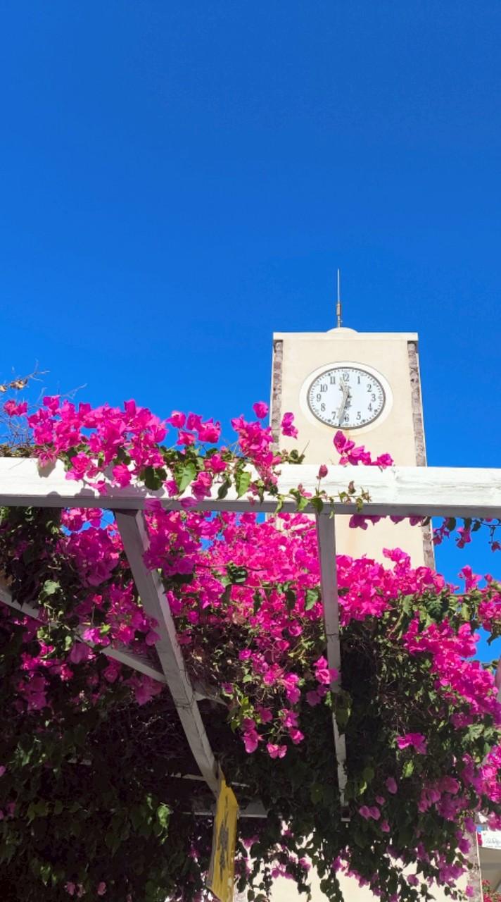 微光書簡（微小說）