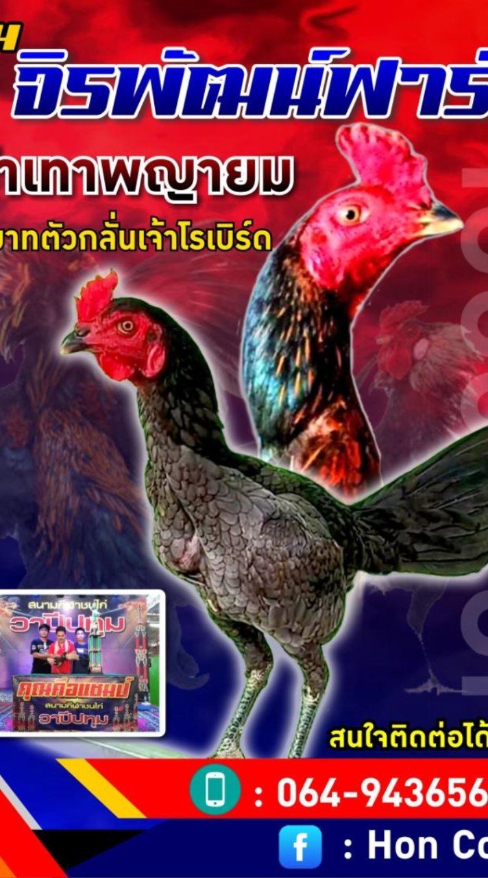 จิรพัฒน์ฟาร์ม🐓