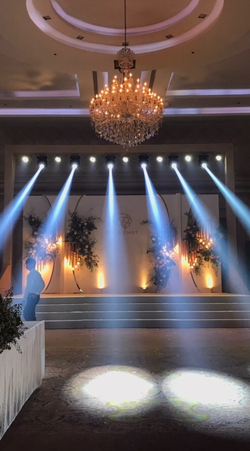 Max lighting