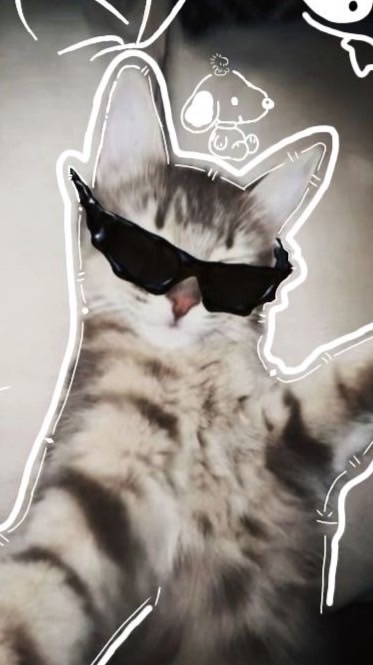 𓂃⊹ 𝖆𝖈𝖈 𝖕𝖗𝖔𝖒𝖔𝖙𝖊𝖗 ᴛɪᴋᴛᴏᴋ⋆. 𐙚 ˚