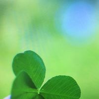 よつば隊🍀byハートキーパーの会