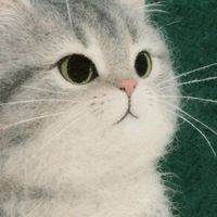 บางทีก็คิดนะว่า...