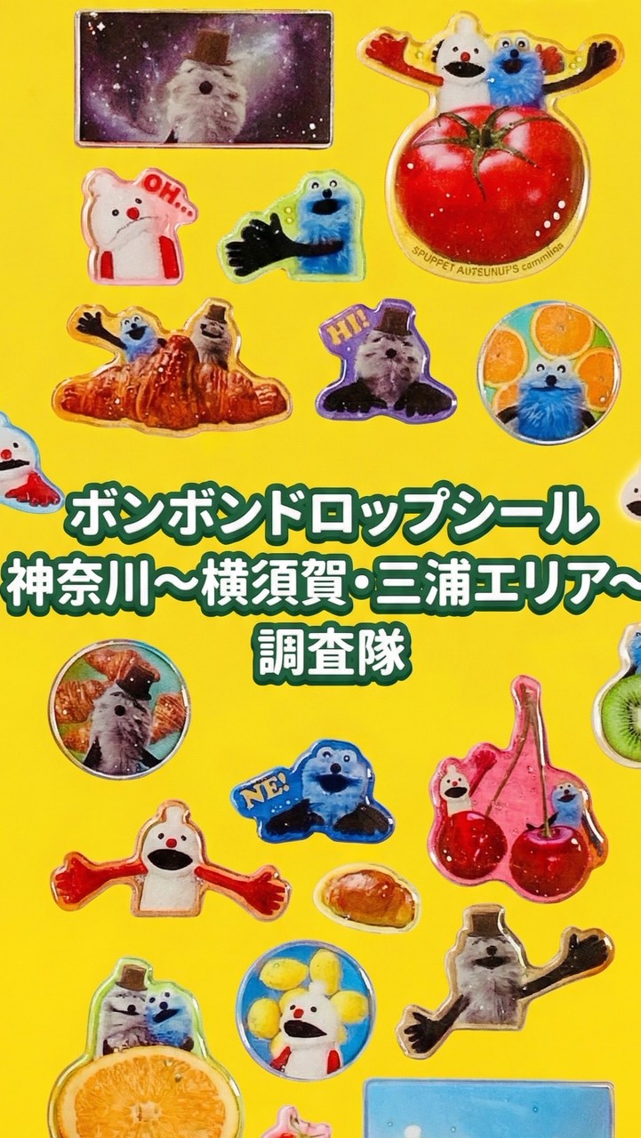 ボンボンドロップシール神奈川県〜横須賀天才三浦エリア〜調査隊#シルパト