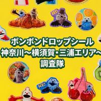 ボンボンドロップシール神奈川県〜横須賀天才三浦エリア〜調査隊#シルパト