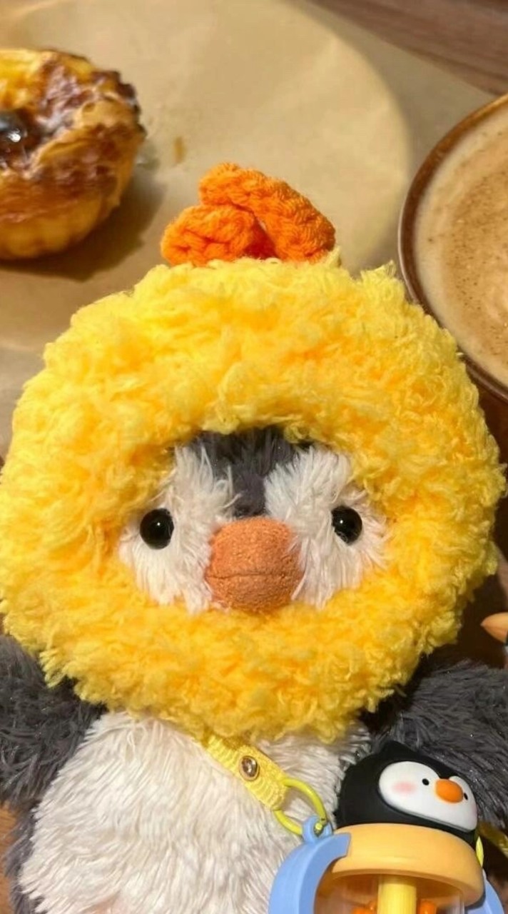 追星桌布🤡💗💦