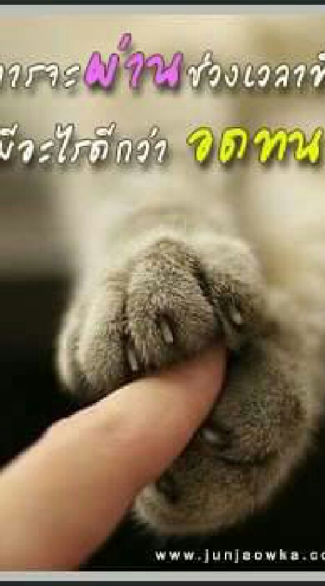 🐈🐩💖ไดโนเสาร์กับเรื่องราวดีๆ#2💓