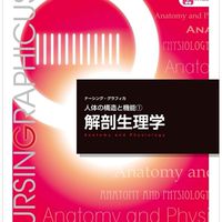 解剖生理学の部屋
