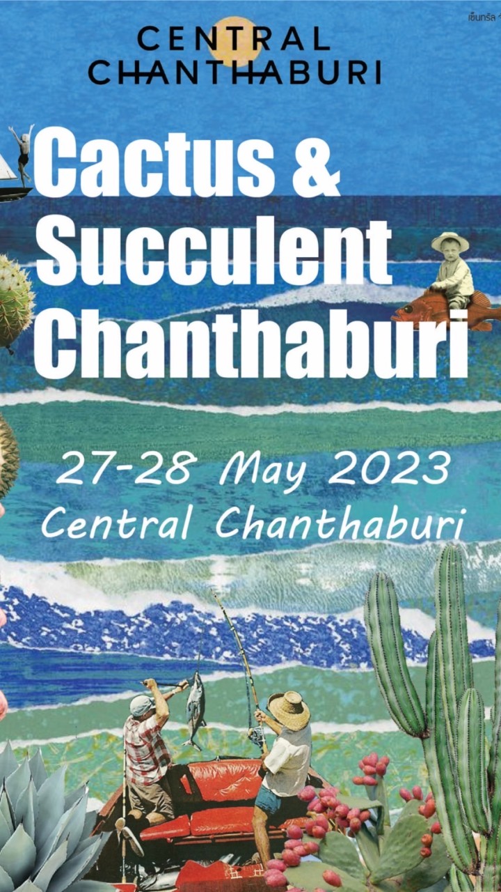 Cactus&SucculentChanthaburi