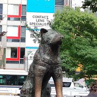 高専生・高専受験生のお部屋