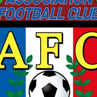 豊田AFC Jr.