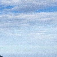 Niz的連線代購群🤍