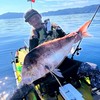 B-kayak ワールド（会話、トーク禁止）