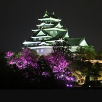 ✨一期一会✨岡山🍑