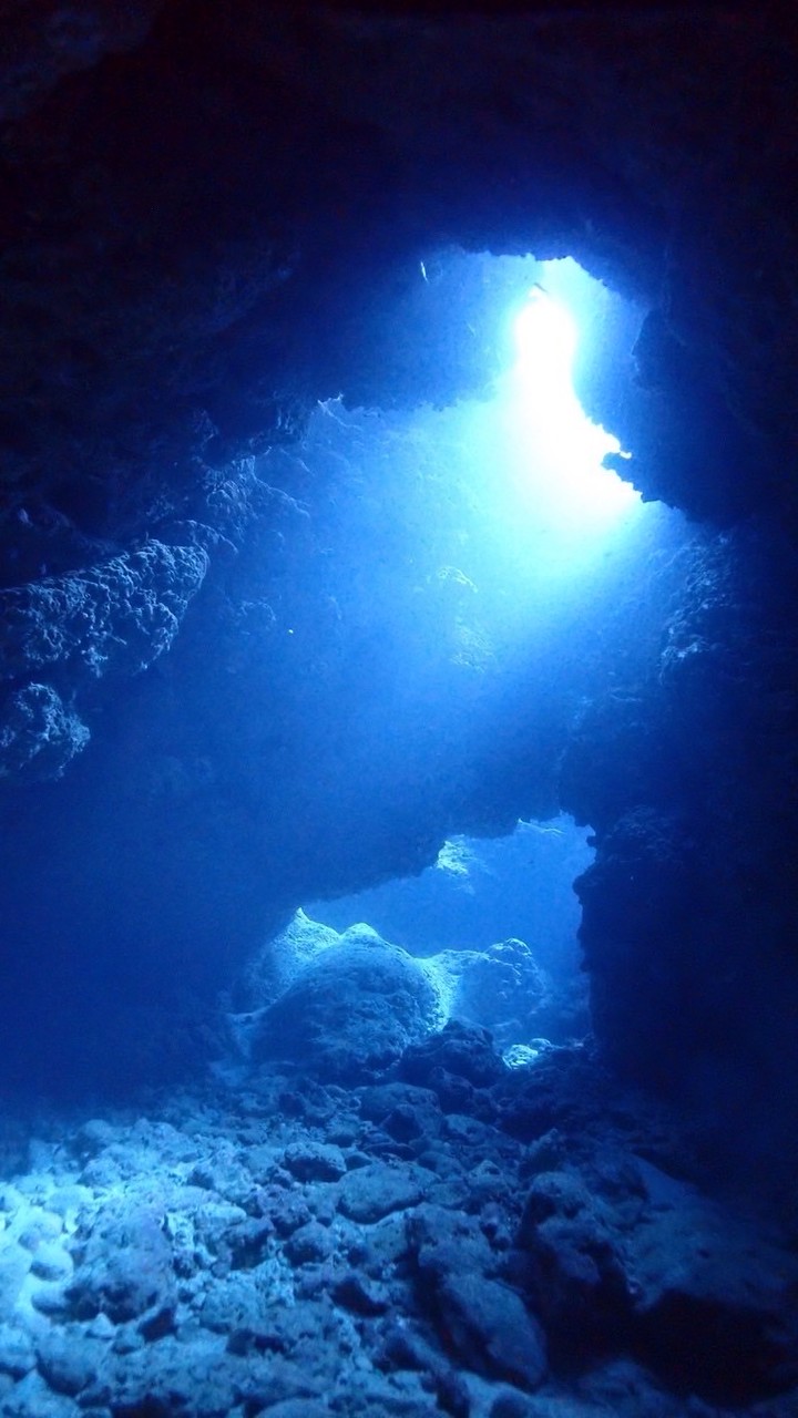 スキューバダイビング同好会オープンチャット