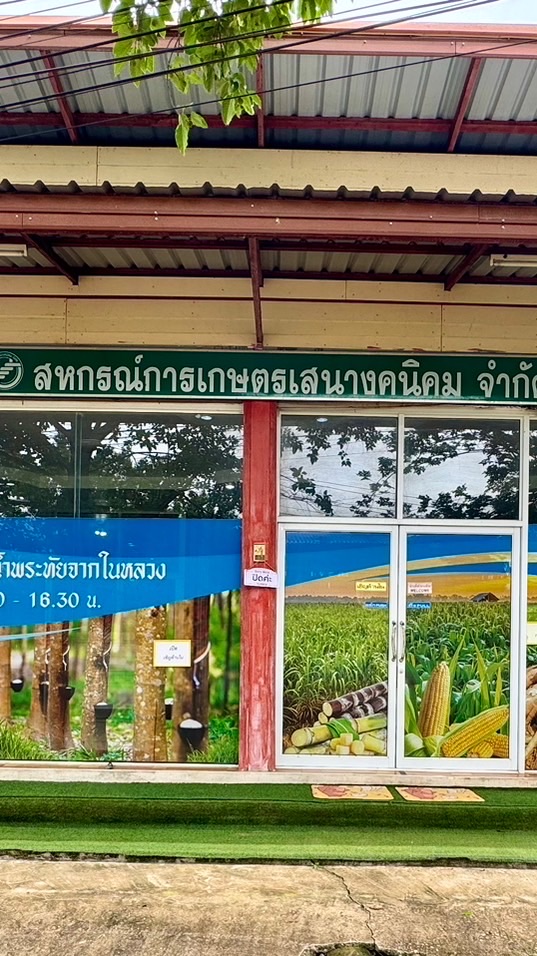 สมาชิกสหกรณ์การเกษตรเสนางคนิคม จำกัด