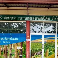 สมาชิกสหกรณ์การเกษตรเสนางคนิคม จำกัด